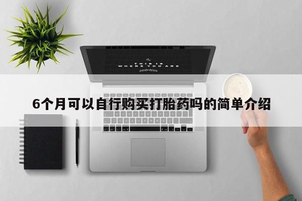 固原私人诊所打胎药6个月可以自行购买打胎药吗的简单介绍
